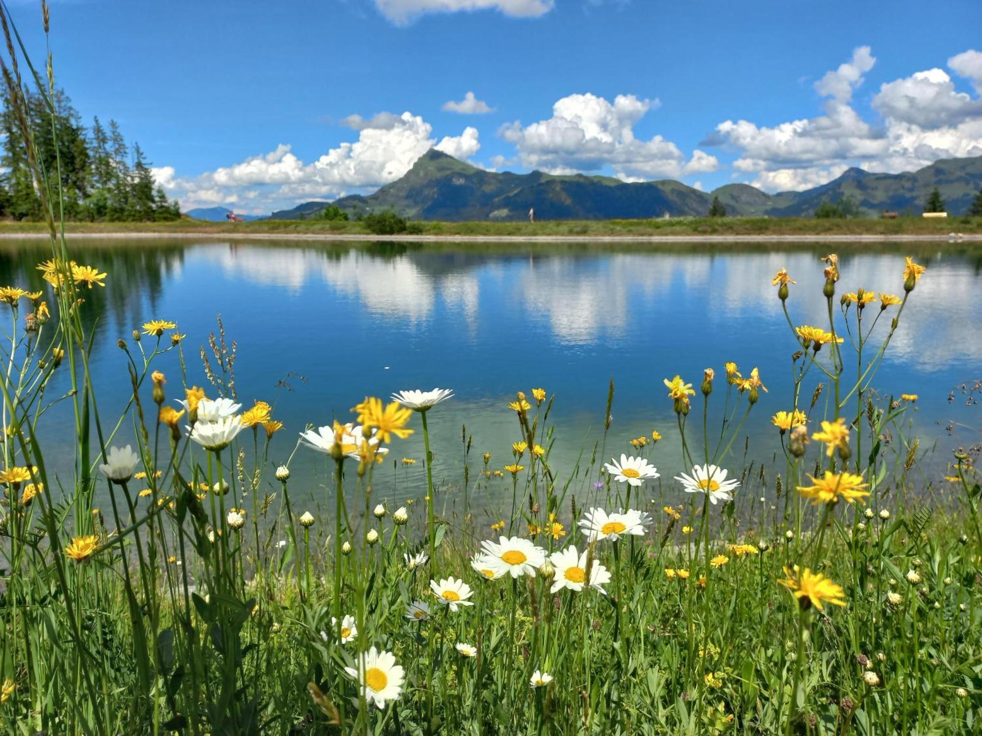 Вілла Hahnenkammblick Кіцбюель Екстер'єр фото
